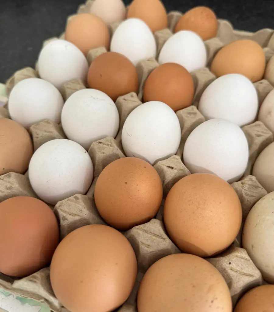 A tray of free range eggs